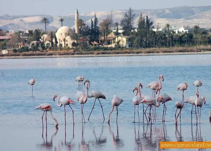 Διαμέρισμα Mackenzie By The Sea One Bed Ground Floor Λάρνακα