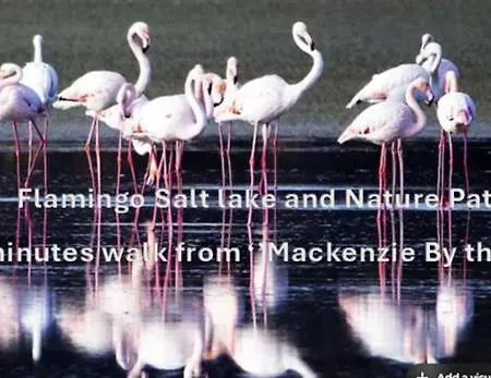 Mackenzie By The Sea * Larnaca