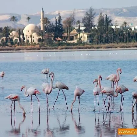 Apartment Mackenzie By The Sea One Bed Ground Floor Larnaca