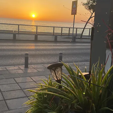 Mackenzie By The Sea