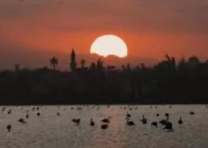 アパート Mackenzie By The Sea One Bed Ground Floor